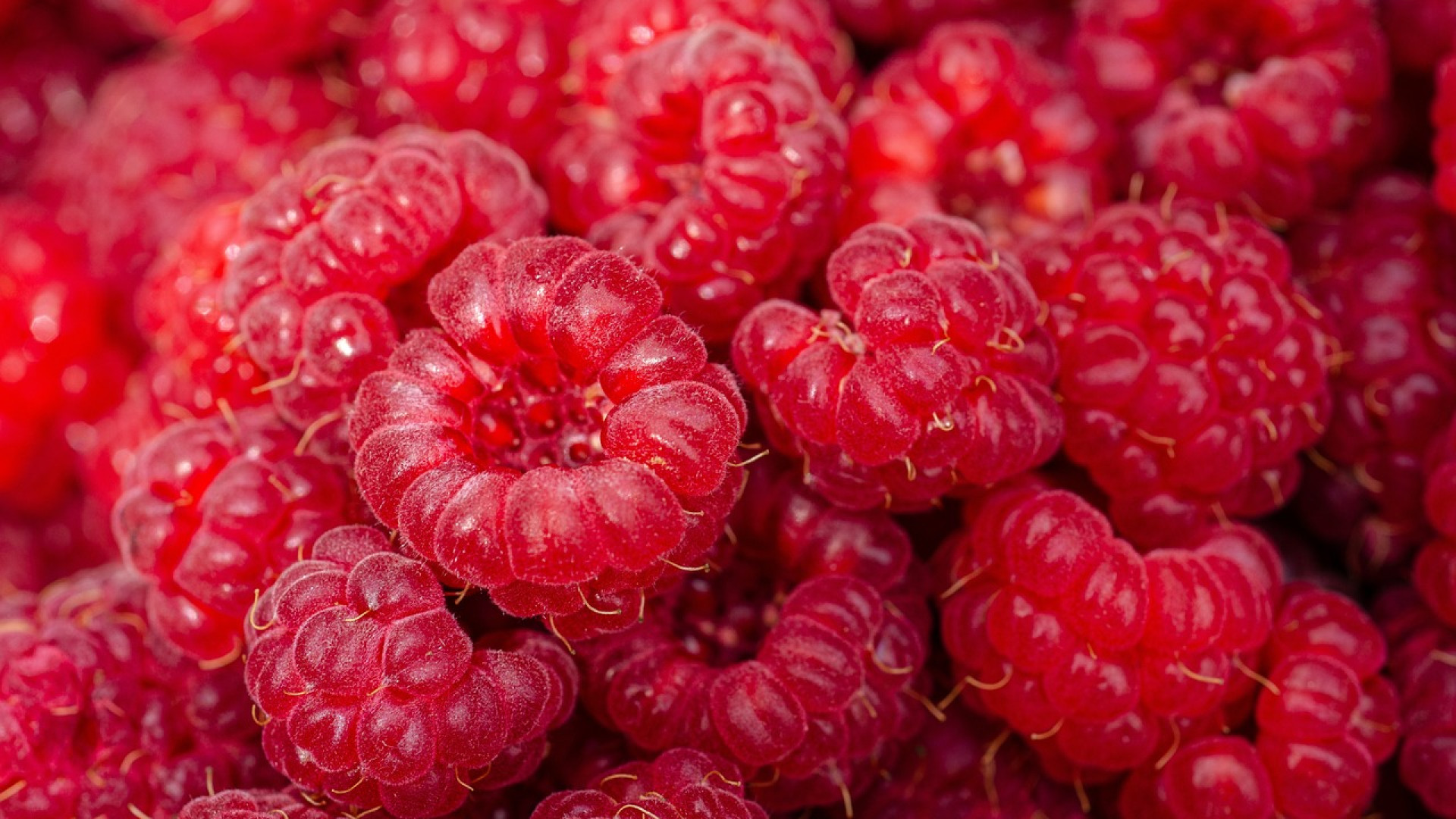 Incorporer de la purée de fruit bio dans vos recettes pour un goût exceptionnel et sain